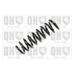 Suspension Spring QUINTON HAZELL QCS5437 OE Ref 2103243604 QUINTON HAZELL