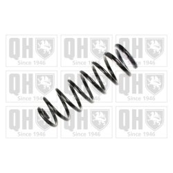 Suspension Spring QUINTON HAZELL QCS5438 OE Ref 60658367