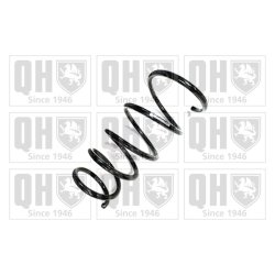 Suspension Spring QUINTON HAZELL QCS5445 OE Ref 93195072