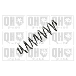 Suspension Spring QUINTON HAZELL QCS5447 OE Ref 8200276539 QUINTON HAZELL