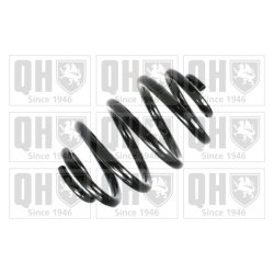 Suspension Spring QUINTON HAZELL QCS5465 OE Ref 1065400
