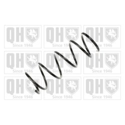 Suspension Spring QUINTON HAZELL QCS5489 OE Ref 4111186G00000