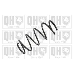 Suspension Spring QUINTON HAZELL QCS5495 OE Ref 51856839