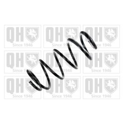 Suspension Spring QUINTON HAZELL QCS5496 OE Ref 8200548340