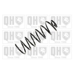 Suspension Spring QUINTON HAZELL QCS5500 OE Ref 424016