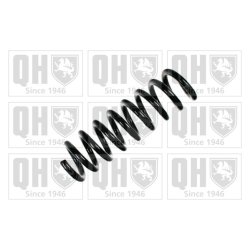 Suspension Spring QUINTON HAZELL QCS5506 OE Ref 2113240204 QUINTON HAZELL