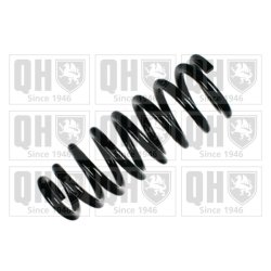 Suspension Spring QUINTON HAZELL QCS5510 OE Ref 546013E040DS