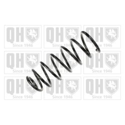 Suspension Spring QUINTON HAZELL QCS5522 OE Ref 357411105N