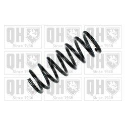 Suspension Spring QUINTON HAZELL QCS5532 OE Ref 251411105952