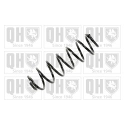 Suspension Spring QUINTON HAZELL QCS5536 OE Ref 1J0511115AK QUINTON HAZELL