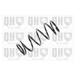 Suspension Spring QUINTON HAZELL QCS5541 OE Ref 41311M79G30 QUINTON HAZELL