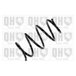 Suspension Spring QUINTON HAZELL QCS5555 OE Ref 31336761215