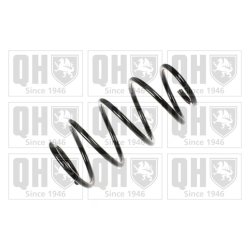 Suspension Spring QUINTON HAZELL QCS5560 OE Ref 312846 QUINTON HAZELL