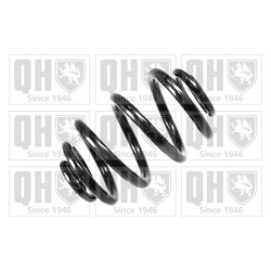 Suspension Spring QUINTON HAZELL QCS5614 OE Ref 33536750760