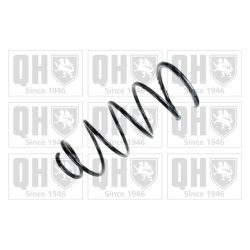 Suspension Spring QUINTON HAZELL QCS5616 OE Ref 5002GQ QUINTON HAZELL