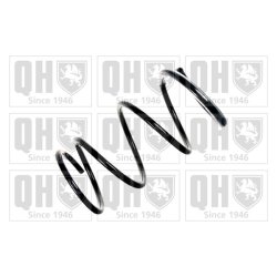 Suspension Spring QUINTON HAZELL QCS5642 OE Ref 540108H760
