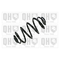 Suspension Spring QUINTON HAZELL QCS5644 OE Ref 13334225