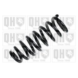 Suspension Spring QUINTON HAZELL QCS5651 OE Ref 546013E140 QUINTON HAZELL