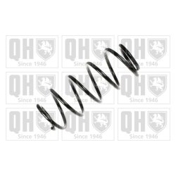 Suspension Spring QUINTON HAZELL QCS5670 OE Ref 312833