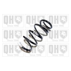 Suspension Spring QUINTON HAZELL QCS5672 OE Ref 312183