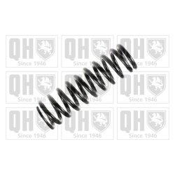 Suspension Spring QUINTON HAZELL QCS5673 OE Ref 2013242604 QUINTON HAZELL