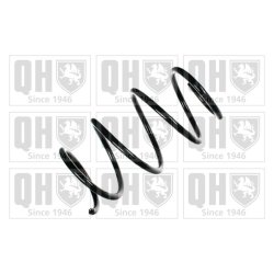 Suspension Spring QUINTON HAZELL QCS5676 OE Ref 31331096038