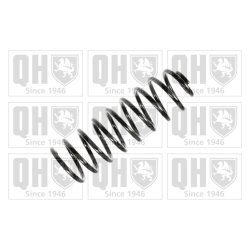 Suspension Spring QUINTON HAZELL QCS5681 OE Ref 191511115A QUINTON HAZELL