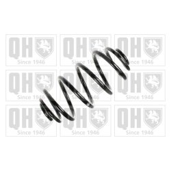 Suspension Spring QUINTON HAZELL QCS5684 OE Ref 424085
