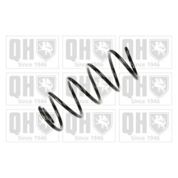 Suspension Spring QUINTON HAZELL QCS5686 OE Ref 6Q0411105AJ