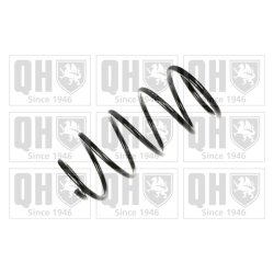 Suspension Spring QUINTON HAZELL QCS5689 OE Ref 5002Z9