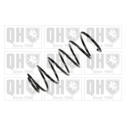 Suspension Spring QUINTON HAZELL QCS5715 OE Ref 171411105G