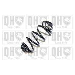 Suspension Spring QUINTON HAZELL QCS5727 OE Ref 13251749