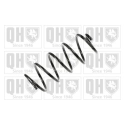 Suspension Spring QUINTON HAZELL QCS5737 OE Ref 8Z0411105AL