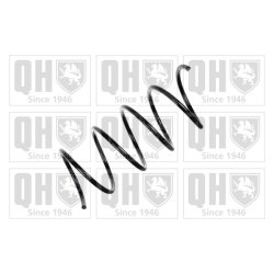 Suspension Spring QUINTON HAZELL QCS5754 OE Ref 2033214704