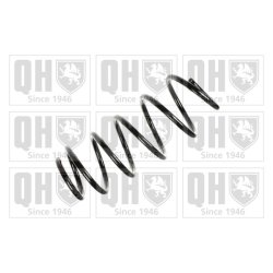 Suspension Spring QUINTON HAZELL QCS5756 OE Ref 312302