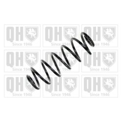 Suspension Spring QUINTON HAZELL QCS5767 OE Ref 5102F4