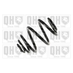 Suspension Spring QUINTON HAZELL QCS5769 OE Ref 424056