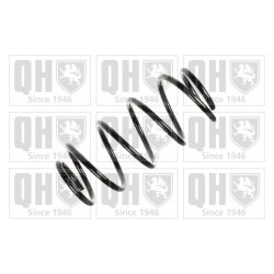 Suspension Spring QUINTON HAZELL QCS5776 OE Ref 312810