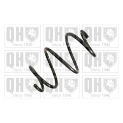 Suspension Spring QUINTON HAZELL QCS5782 OE Ref 31336851922