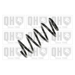 Suspension Spring QUINTON HAZELL QCS5785 OE Ref 46448526 QUINTON HAZELL