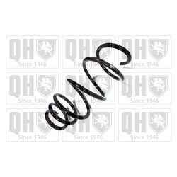 Suspension Spring QUINTON HAZELL QCS5795 OE Ref 13219111