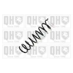 Suspension Spring QUINTON HAZELL QCS5798 OE Ref 540106F621
