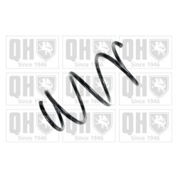 Suspension Spring QUINTON HAZELL QCS5805 OE Ref 4813113140 QUINTON HAZELL