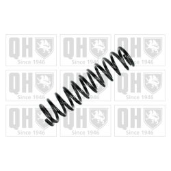 Suspension Spring QUINTON HAZELL QCS5810 OE Ref 893511115AB