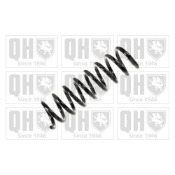 Suspension Spring QUINTON HAZELL QCS5812 OE Ref 2023211504 QUINTON HAZELL