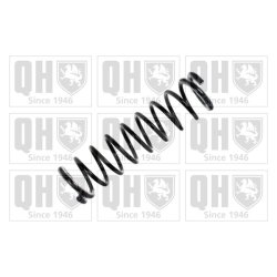 Suspension Spring QUINTON HAZELL QCS5814 OE Ref 60628254 QUINTON HAZELL