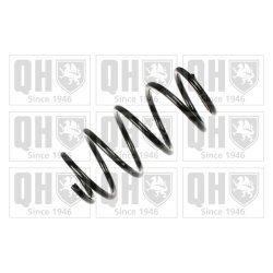 Suspension Spring QUINTON HAZELL QCS5816 OE Ref 424019 QUINTON HAZELL