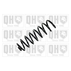 Suspension Spring QUINTON HAZELL QCS5835 OE Ref 8200249829