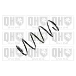 Suspension Spring QUINTON HAZELL QCS5846 OE Ref 8200040089
