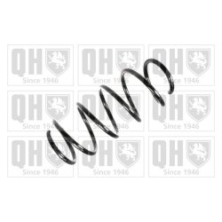 Suspension Spring QUINTON HAZELL QCS5856 OE Ref 312139